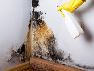 Use bleach or mold remover