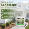 Rock_Glue_for_Landscaping_02